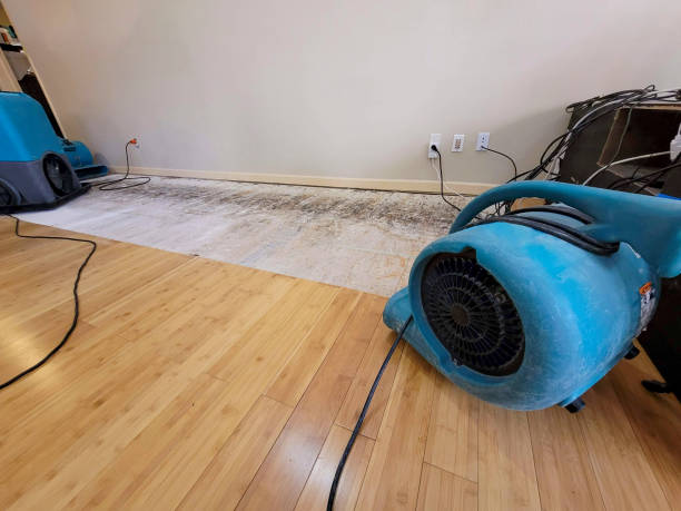Professional Water Damage Repair technician working in Lathrop, CA